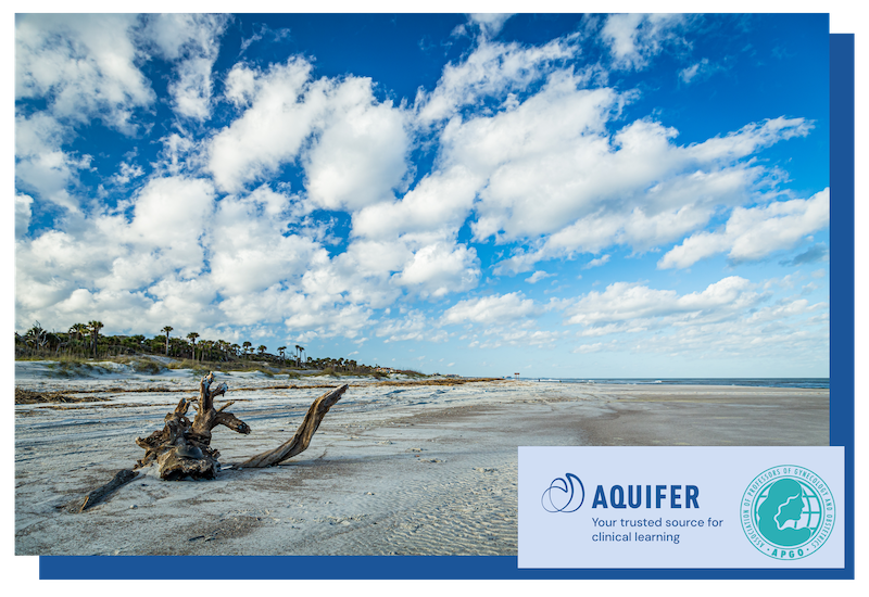 Meet Aquifer at APGO 2026 on Amelia Island