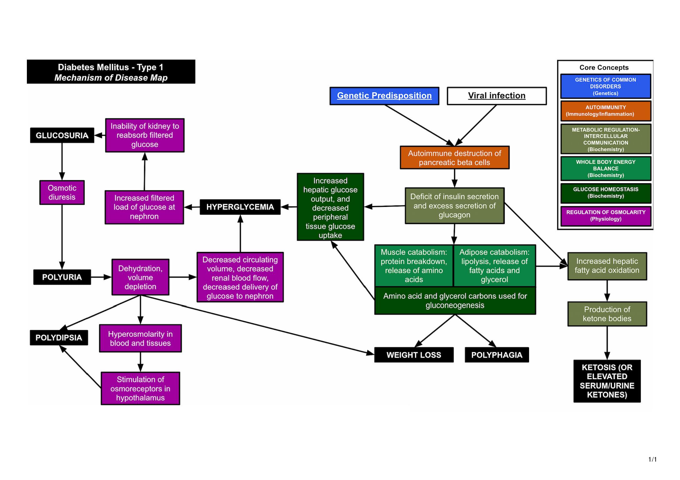 Bridging Foundational Science and Clinical Reasoning in BS/MD Programs