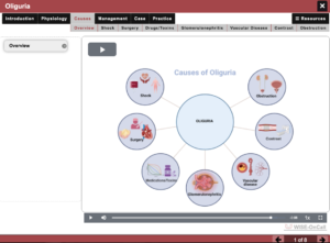 WISE On-Call Updated Oliguria Module